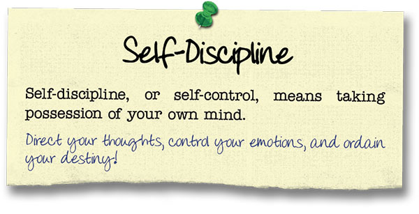 Self Discipline 17 Principles Poster