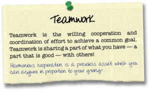 Teamwork - 17 Principles Poster